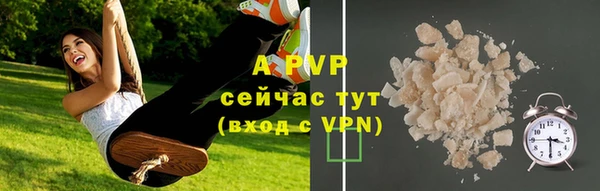 ПСИЛОЦИБИНОВЫЕ ГРИБЫ Магадан