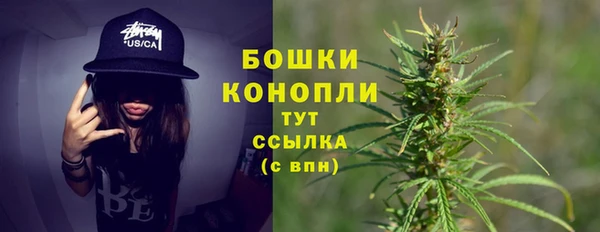 PSILOCYBIN Елабуга