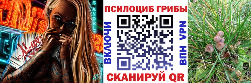 Галлюциногенные грибы прущие грибы  Купино 